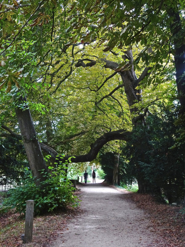 Magdalen College Meadows walk