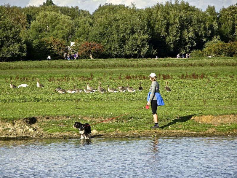 Port Meadow