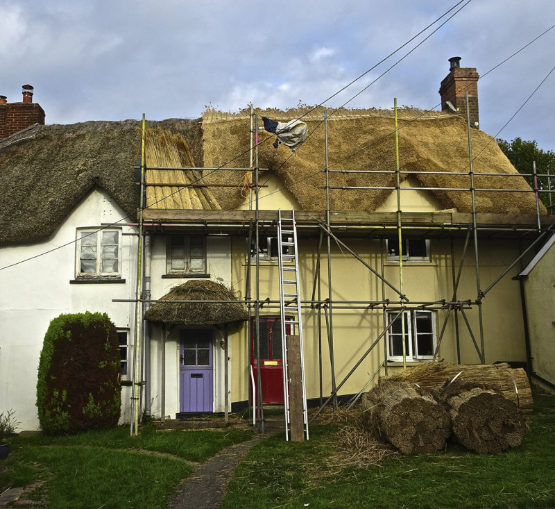Thatching being done in Petrockstowe