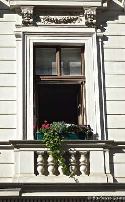 g10/72/582072/3/165667136.UTgtW6RI.jpg