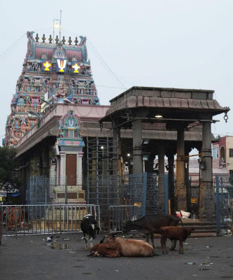 parthasarthy temple on S.Mada street DSCF5096.jpg