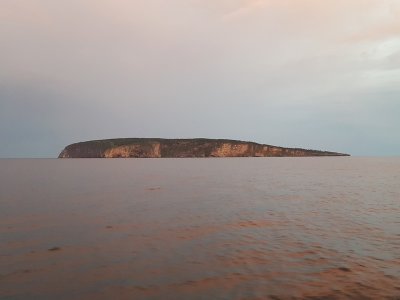 Île Bonaventure, Percé