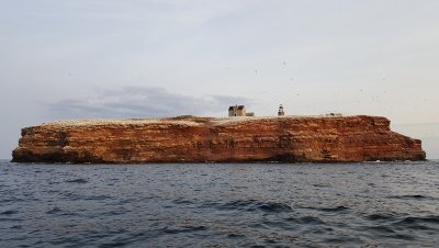 Rocher aux oiseaux, le-de-la-Madeleine