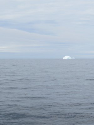 Iceberg, Détroit d'Hudson