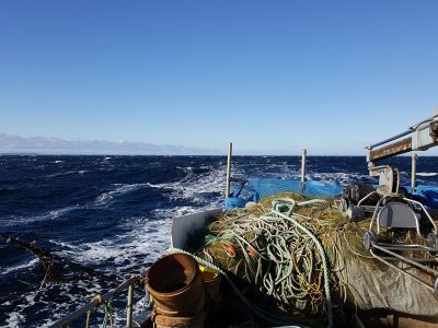 Pêche, Golfe du St-Lauent