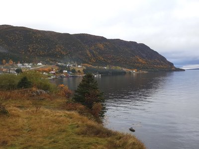 Woody Point, Terre-Neuve