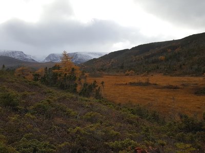 Montagnes, Woody Point, Terre-Neuve