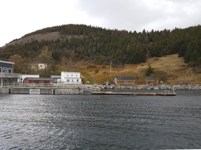 Bonne Bay, Terre-Neuve