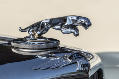 51 Jaguar