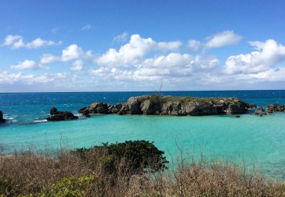Bermuda color
