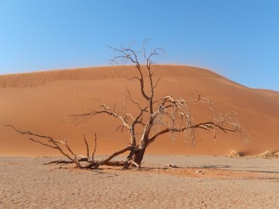 Dune 45 Sossusvlei, Namibian desert