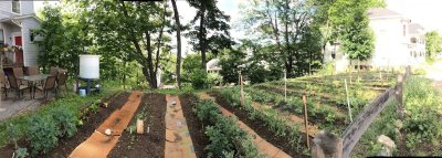 Crescent St Garden in June