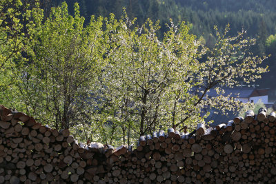 Around Bucovina