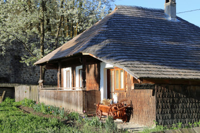 Around Bucovina