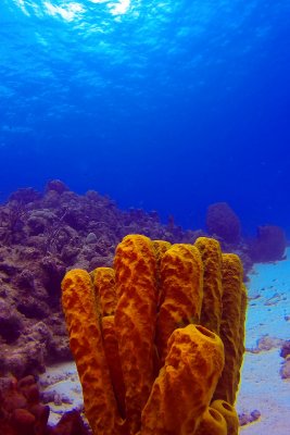 2017_03_19_G37077_4x6.jpg