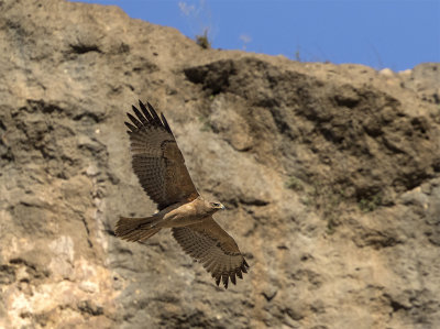 Southern Oman November 2017