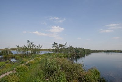 IMGP8521.jpg