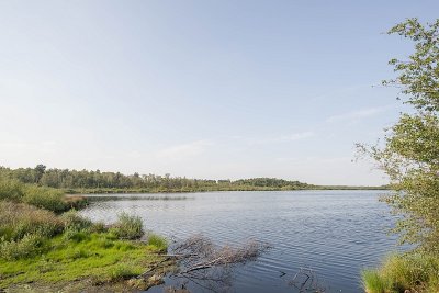 IMGP8522.jpg