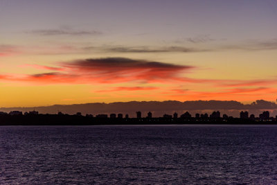 DSC_3503.JPG