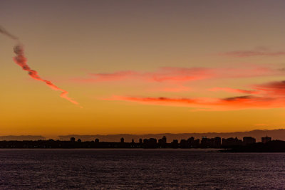 DSC_3504.JPG