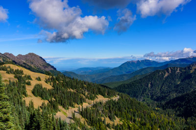 DSC_5660.JPG