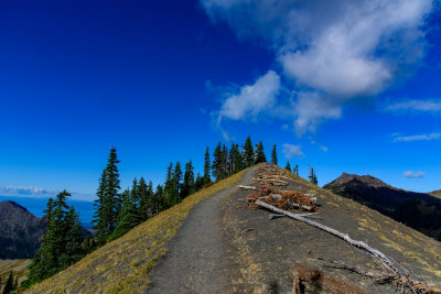 DSC_5678.JPG