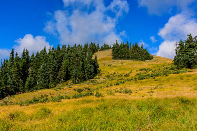 DSC_5683.JPG