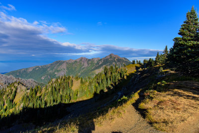 DSC_5738.JPG