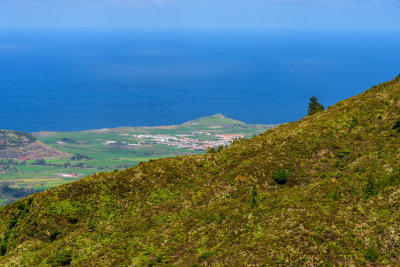 DSC_7517.JPG