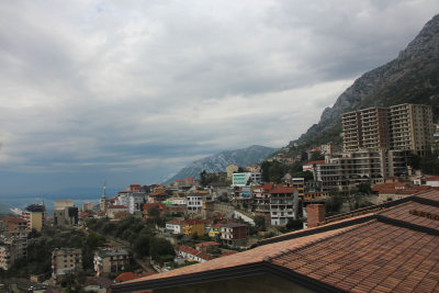 IMG_9082 copy.jpg