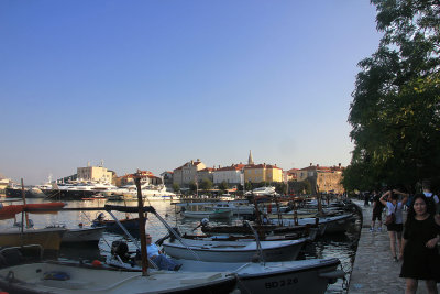 IMG_9342 copy.jpg