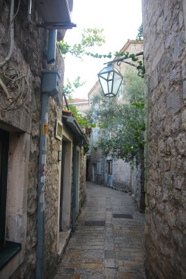 IMG_9391 copy.jpg