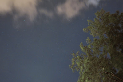DSC_4217_00003s.jpg