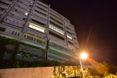 DSC_4620_1s.jpg