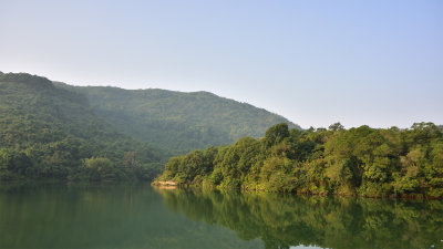 Speed Visit to Ho Pui Reservoir & Tai Tong Sweet Gum Woods