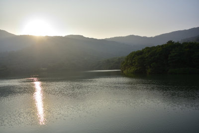 DSC_4930_1s.jpg