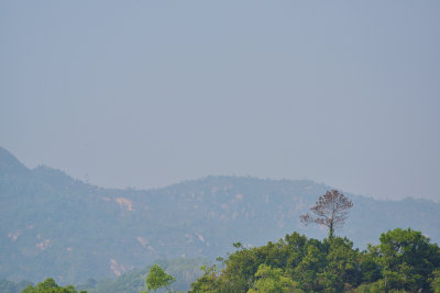 DSC_5032_1s.jpg