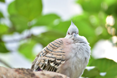 DSC_5146_1s.jpg