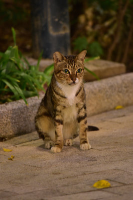 DSC_5534s.jpg