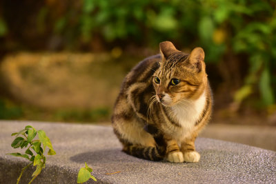DSC_5537s.jpg