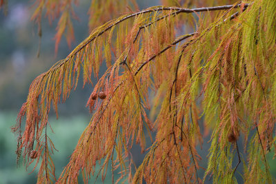 DSC_5572s.jpg