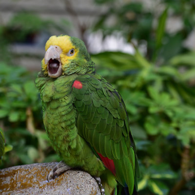 DSC_5593s.jpg