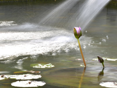 DSC_5726s.jpg