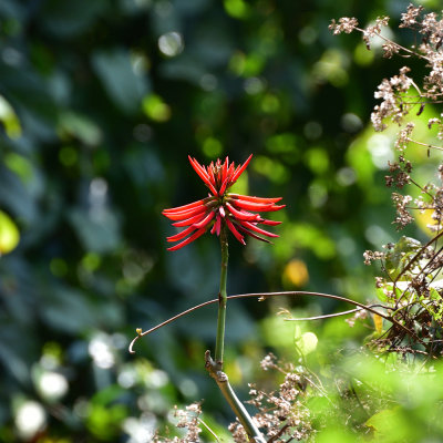 DSC_6026s.jpg