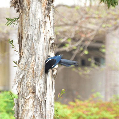 DSC_6304s.jpg