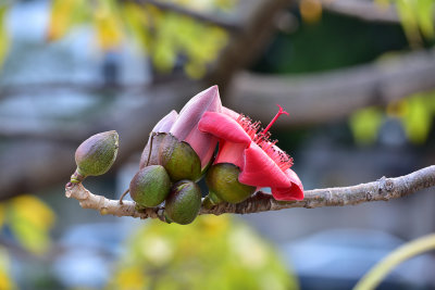 DSC_6359s.jpg