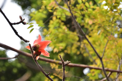 DSC_6425s.jpg