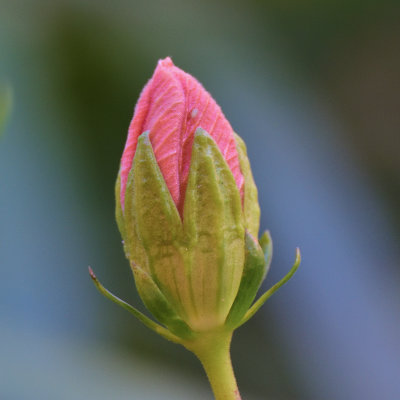 DSC_6550s.jpg