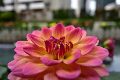 DSC_6564s.jpg