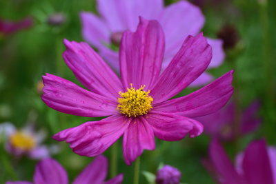 DSC_6117s.jpg